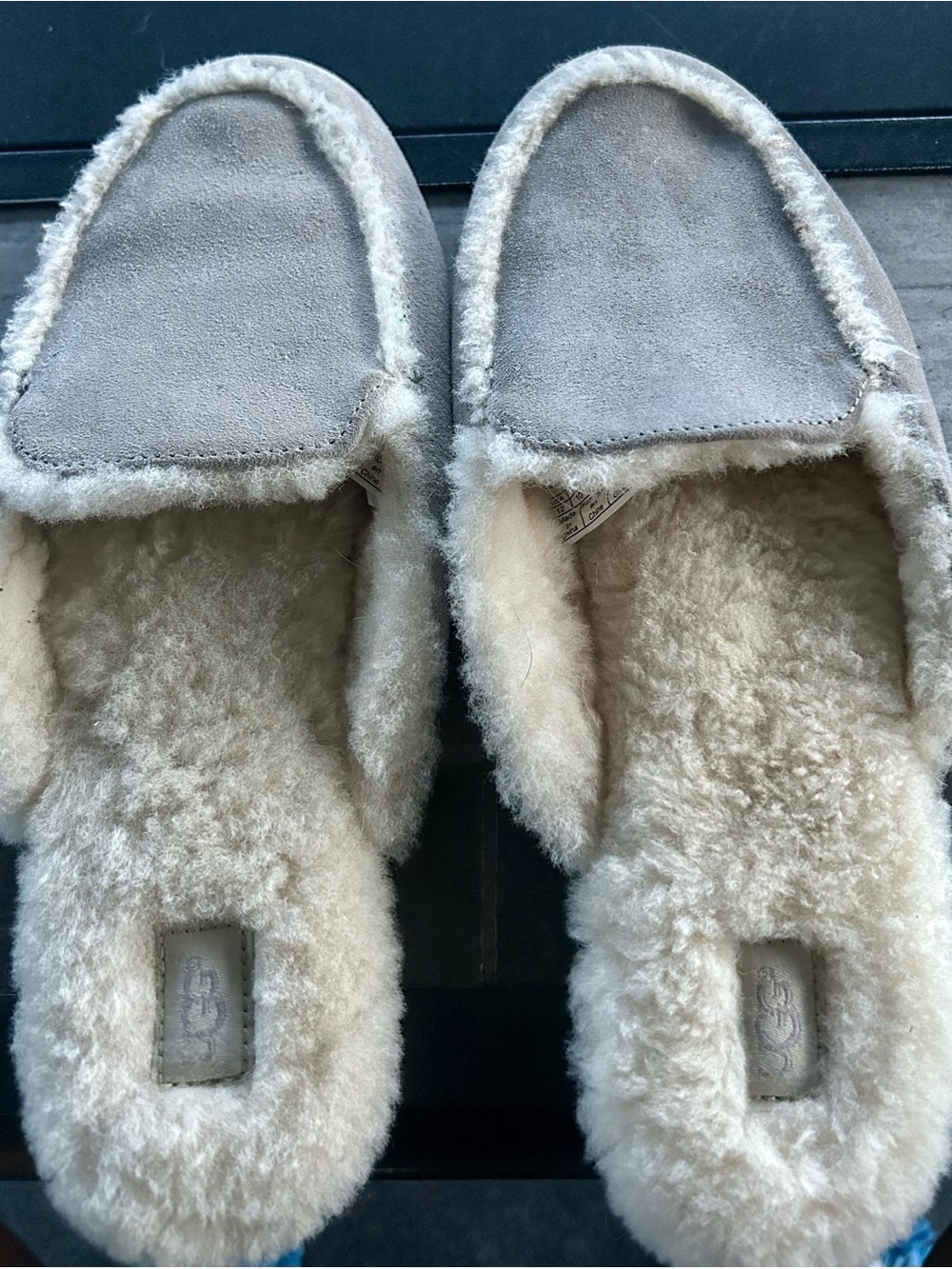 UGGGrandpacore Dadcore
Slip-On Loafer Slipper
Color: Gray/Silver/Ivory12